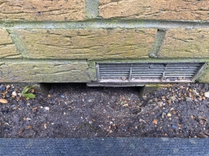 Example of mouse proofing in Essex and London