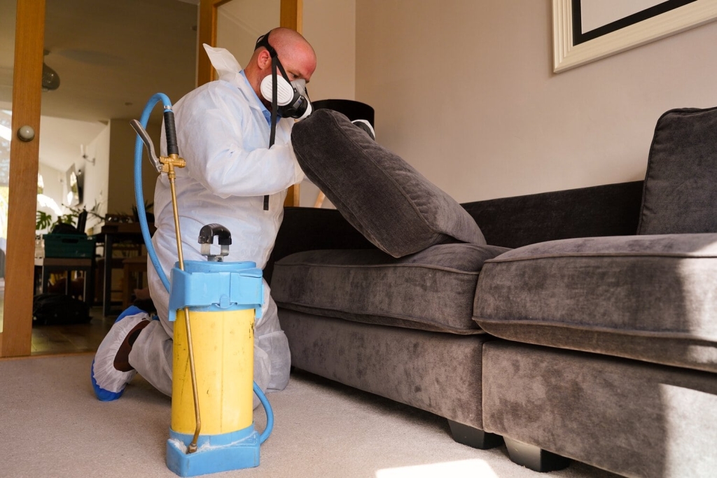 biochem-service-bedbugs