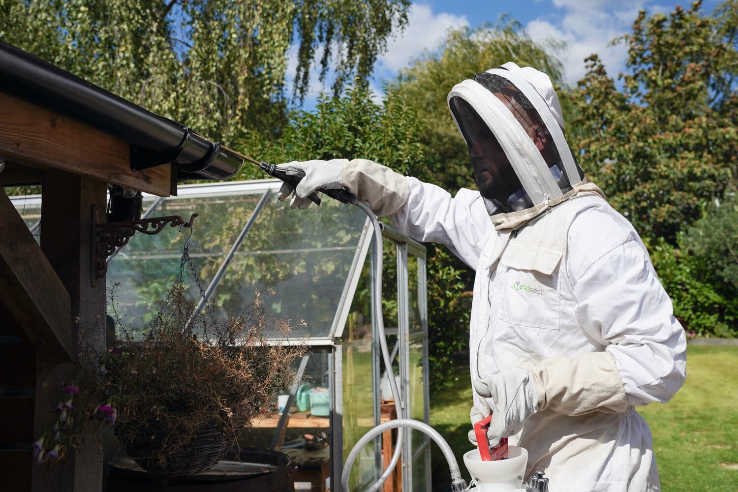 biochem-service-wasps